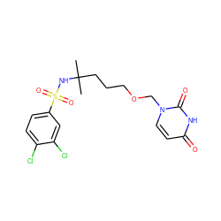 CC(C)(CCCOCn1ccc(=O)[nH]c1=O)NS(=O)(=O)c1ccc(Cl)c(Cl)c1 ZINC000116100209