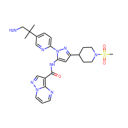 CC(C)(CN)c1ccc(-n2nc(C3CCN(S(C)(=O)=O)CC3)cc2NC(=O)c2cnn3cccnc23)nc1 ZINC000203750929