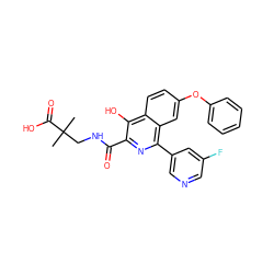 CC(C)(CNC(=O)c1nc(-c2cncc(F)c2)c2cc(Oc3ccccc3)ccc2c1O)C(=O)O ZINC000146677476