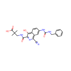 CC(C)(CNC(=O)c1nc(C#N)c2cc(NC(=O)NCc3ccccc3)ccc2c1O)C(=O)O ZINC000146748307