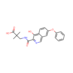 CC(C)(CNC(=O)c1ncc2cc(Oc3ccccc3)ccc2c1O)C(=O)O ZINC000146674619