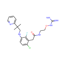 CC(C)(CNc1ccc(Cl)c(CC(=O)NCCONC(=N)N)c1F)c1ccccn1 ZINC000028956091