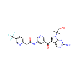 CC(C)(CO)n1cc(C(=O)c2cncc(NC(=O)Cc3ccc(C(F)(F)F)cn3)c2)c2cnc(N)nc21 ZINC000169708066