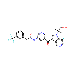 CC(C)(CO)n1cc(C(=O)c2cncc(NC(=O)Cc3cccc(C(F)(F)F)c3)c2)c2cncc(F)c21 ZINC000205659511