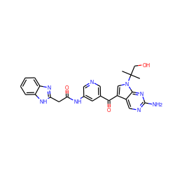 CC(C)(CO)n1cc(C(=O)c2cncc(NC(=O)Cc3nc4ccccc4[nH]3)c2)c2cnc(N)nc21 ZINC000221759940