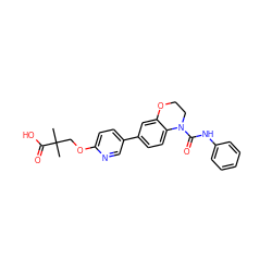 CC(C)(COc1ccc(-c2ccc3c(c2)OCCN3C(=O)Nc2ccccc2)cn1)C(=O)O ZINC000139396089