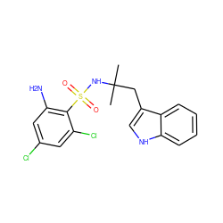 CC(C)(Cc1c[nH]c2ccccc12)NS(=O)(=O)c1c(N)cc(Cl)cc1Cl ZINC000103253849