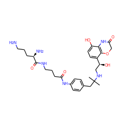 CC(C)(Cc1ccc(NC(=O)CCCNC(=O)[C@H](N)CCCN)cc1)NC[C@H](O)c1ccc(O)c2c1OCC(=O)N2 ZINC000049677983