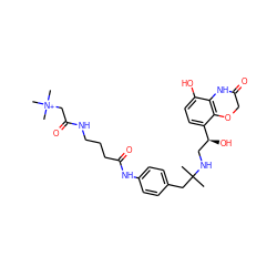 CC(C)(Cc1ccc(NC(=O)CCCNC(=O)C[N+](C)(C)C)cc1)NC[C@H](O)c1ccc(O)c2c1OCC(=O)N2 ZINC000049745488