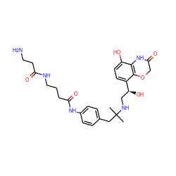 CC(C)(Cc1ccc(NC(=O)CCCNC(=O)CCN)cc1)NC[C@H](O)c1ccc(O)c2c1OCC(=O)N2 ZINC000045258486