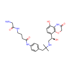 CC(C)(Cc1ccc(NC(=O)CCCNC(=O)CN)cc1)NC[C@H](O)c1ccc(O)c2c1OCC(=O)N2 ZINC000045314723