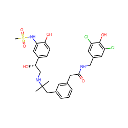 CC(C)(Cc1cccc(CC(=O)NCc2cc(Cl)c(O)c(Cl)c2)c1)NC[C@H](O)c1ccc(O)c(NS(C)(=O)=O)c1 ZINC000064564394