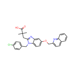 CC(C)(Cc1nc2cc(OCc3ccc4ccccc4n3)ccc2n1Cc1ccc(Cl)cc1)C(=O)O ZINC000219448151