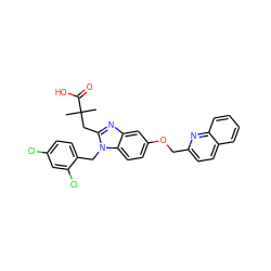 CC(C)(Cc1nc2cc(OCc3ccc4ccccc4n3)ccc2n1Cc1ccc(Cl)cc1Cl)C(=O)O ZINC000219363390
