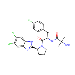 CC(C)(N)C(=O)N[C@@H](Cc1ccc(Cl)cc1)C(=O)N1CCC[C@H]1c1nc2cc(Cl)c(Cl)cc2[nH]1 ZINC000064527576