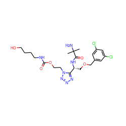 CC(C)(N)C(=O)N[C@H](COCc1cc(Cl)cc(Cl)c1)c1nnnn1CCOC(=O)NCCCCO ZINC000029041203