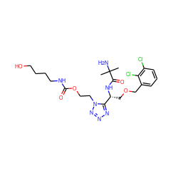 CC(C)(N)C(=O)N[C@H](COCc1cccc(Cl)c1Cl)c1nnnn1CCOC(=O)NCCCCO ZINC000029041201