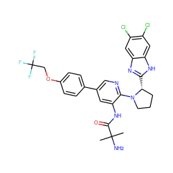 CC(C)(N)C(=O)Nc1cc(-c2ccc(OCC(F)(F)F)cc2)cnc1N1CCC[C@H]1c1nc2cc(Cl)c(Cl)cc2[nH]1 ZINC000073198441