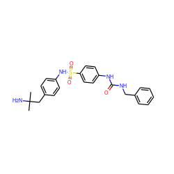 CC(C)(N)Cc1ccc(NS(=O)(=O)c2ccc(NC(=O)NCc3ccccc3)cc2)cc1 ZINC000049014167