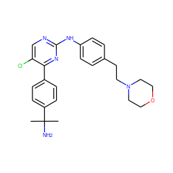 CC(C)(N)c1ccc(-c2nc(Nc3ccc(CCN4CCOCC4)cc3)ncc2Cl)cc1 ZINC000012502169