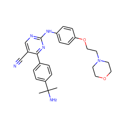 CC(C)(N)c1ccc(-c2nc(Nc3ccc(OCCN4CCOCC4)cc3)ncc2C#N)cc1 ZINC000028819684