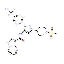 CC(C)(N)c1ccc(-n2nc(C3CCN(S(C)(=O)=O)CC3)cc2NC(=O)c2cnn3cccnc23)nc1 ZINC000204758979