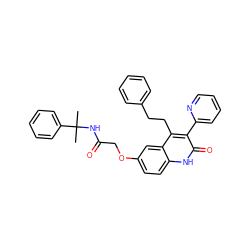 CC(C)(NC(=O)COc1ccc2[nH]c(=O)c(-c3ccccn3)c(CCc3ccccc3)c2c1)c1ccccc1 ZINC000064549743