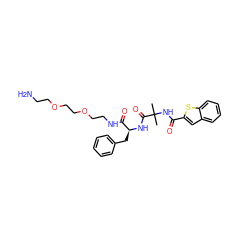 CC(C)(NC(=O)c1cc2ccccc2s1)C(=O)N[C@@H](Cc1ccccc1)C(=O)NCCOCCOCCN ZINC000028825184