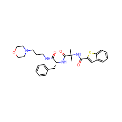 CC(C)(NC(=O)c1cc2ccccc2s1)C(=O)N[C@H](Cc1ccccc1)C(=O)NCCCN1CCOCC1 ZINC000028711591