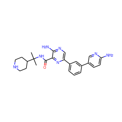 CC(C)(NC(=O)c1nc(-c2cccc(-c3ccc(N)nc3)c2)cnc1N)C1CCNCC1 ZINC000084633818