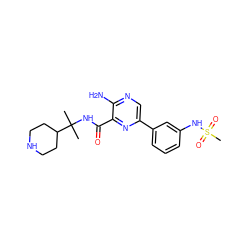 CC(C)(NC(=O)c1nc(-c2cccc(NS(C)(=O)=O)c2)cnc1N)C1CCNCC1 ZINC000084635302