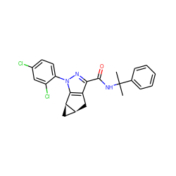 CC(C)(NC(=O)c1nn(-c2ccc(Cl)cc2Cl)c2c1C[C@H]1C[C@@H]21)c1ccccc1 ZINC000299836264