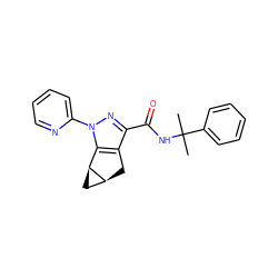 CC(C)(NC(=O)c1nn(-c2ccccn2)c2c1C[C@H]1C[C@@H]21)c1ccccc1 ZINC000299820465