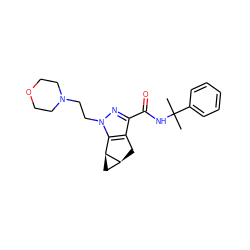 CC(C)(NC(=O)c1nn(CCN2CCOCC2)c2c1C[C@H]1C[C@@H]21)c1ccccc1 ZINC000218904975