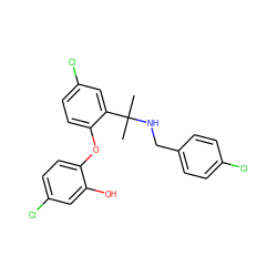 CC(C)(NCc1ccc(Cl)cc1)c1cc(Cl)ccc1Oc1ccc(Cl)cc1O ZINC000036286632