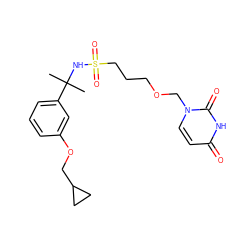 CC(C)(NS(=O)(=O)CCCOCn1ccc(=O)[nH]c1=O)c1cccc(OCC2CC2)c1 ZINC000084709686