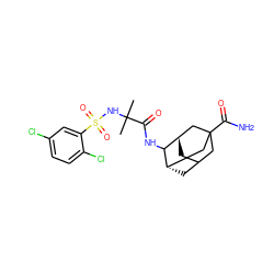 CC(C)(NS(=O)(=O)c1cc(Cl)ccc1Cl)C(=O)NC1[C@H]2CC3C[C@H]1CC(C(N)=O)(C3)C2 ZINC000473133407