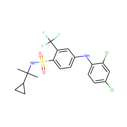 CC(C)(NS(=O)(=O)c1ccc(Nc2ccc(Cl)cc2Cl)cc1C(F)(F)F)C1CC1 ZINC000146115429