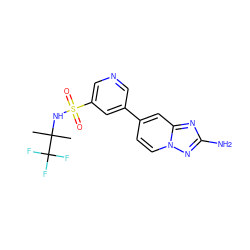 CC(C)(NS(=O)(=O)c1cncc(-c2ccn3nc(N)nc3c2)c1)C(F)(F)F ZINC000095561908