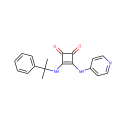 CC(C)(Nc1c(Nc2ccncc2)c(=O)c1=O)c1ccccc1 ZINC000100081524