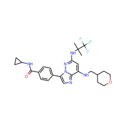 CC(C)(Nc1cc(NCC2CCOCC2)c2ncc(-c3ccc(C(=O)NC4CC4)cc3)n2n1)C(F)(F)F ZINC000068267013