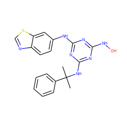 CC(C)(Nc1nc(NO)nc(Nc2ccc3ncsc3c2)n1)c1ccccc1 ZINC000003943029