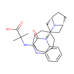 CC(C)(Nc1nc2ccccc2n([C@@H]2C[C@@H]3CC[C@H](C2)N3C2CCCCCCC2)c1=O)C(=O)O ZINC000114709646