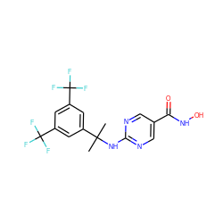 CC(C)(Nc1ncc(C(=O)NO)cn1)c1cc(C(F)(F)F)cc(C(F)(F)F)c1 ZINC000166658118