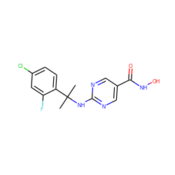 CC(C)(Nc1ncc(C(=O)NO)cn1)c1ccc(Cl)cc1F ZINC000166685032