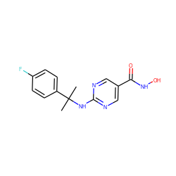 CC(C)(Nc1ncc(C(=O)NO)cn1)c1ccc(F)cc1 ZINC000166771787