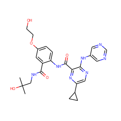 CC(C)(O)CNC(=O)c1cc(OCCO)ccc1NC(=O)c1nc(C2CC2)cnc1Nc1cncnc1 ZINC000169701836