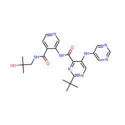 CC(C)(O)CNC(=O)c1ccncc1NC(=O)c1nc(C(C)(C)C)ncc1Nc1cncnc1 ZINC000169701727