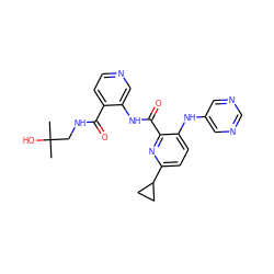 CC(C)(O)CNC(=O)c1ccncc1NC(=O)c1nc(C2CC2)ccc1Nc1cncnc1 ZINC000169701708