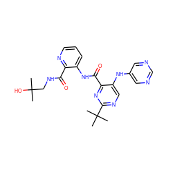 CC(C)(O)CNC(=O)c1ncccc1NC(=O)c1nc(C(C)(C)C)ncc1Nc1cncnc1 ZINC000169701938